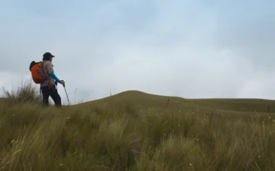 It Reminds You of Life’s Simple Joys