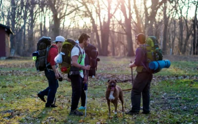 You Get to Disconnect and Recharge